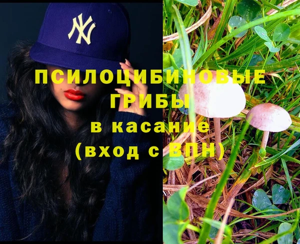 прущая мука Михайловка