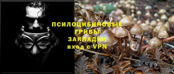 соль курить ск Надым